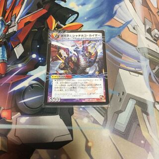 シャチホコカイザー