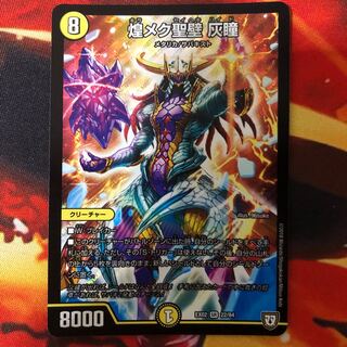 煌メク聖壁 灰瞳