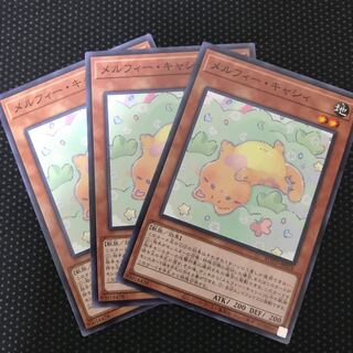 メルフィー・キャシィ