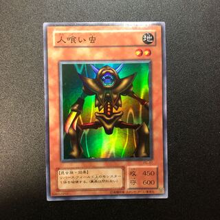 man-eating worm (any worm of phylum Nemertea)