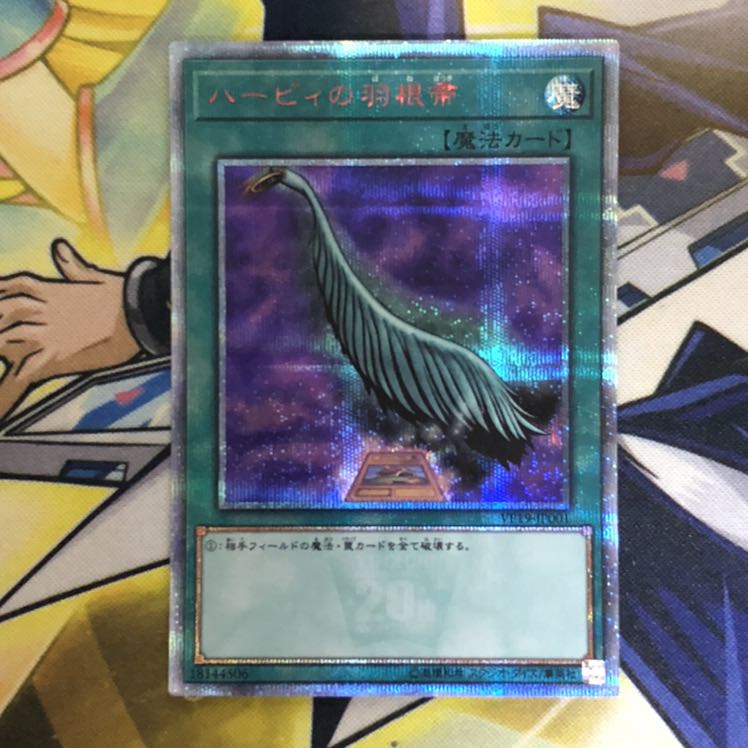 ハーピィの羽根帚 20thシークレットレア ②