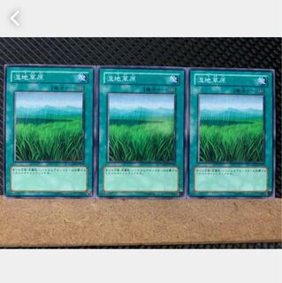 【ぽぽたん】遊戯王 4977 湿地草原 3枚 ノーマル