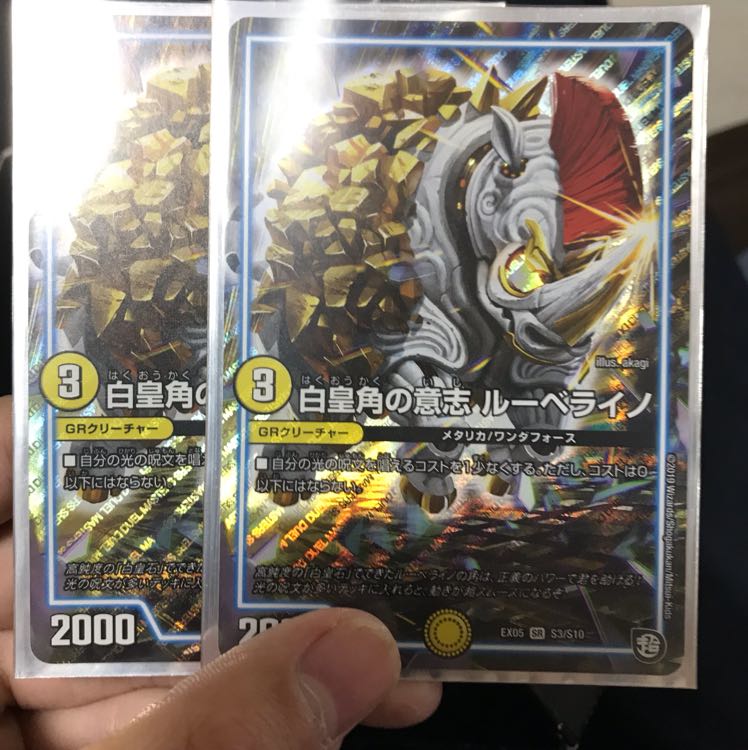 ルーベライノ二枚