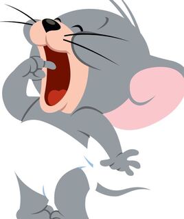 issu0624様専用「希望の天使 アヴァシン」「鏡割りのキキジキ」