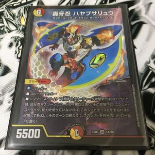 ハヤブサリュウ