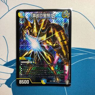 「雷光の聖騎士」