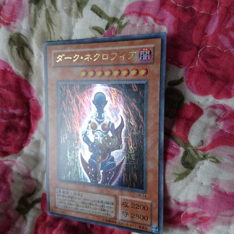 ダーク・ネクロフィア