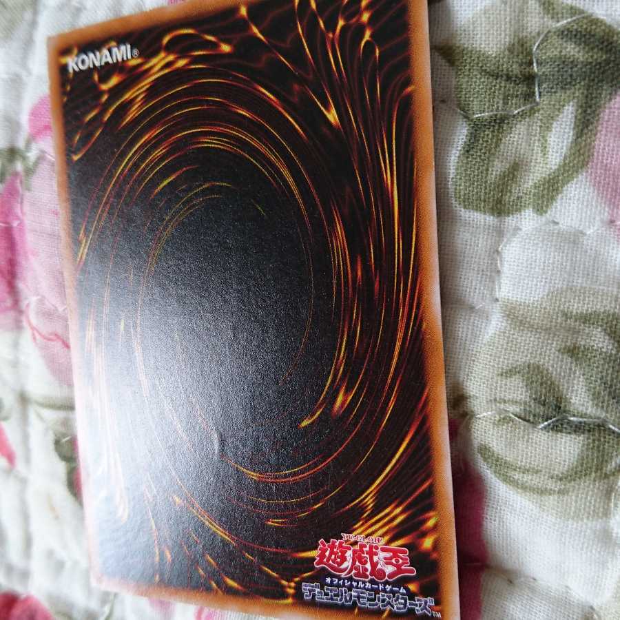 王座の侵略者 1枚