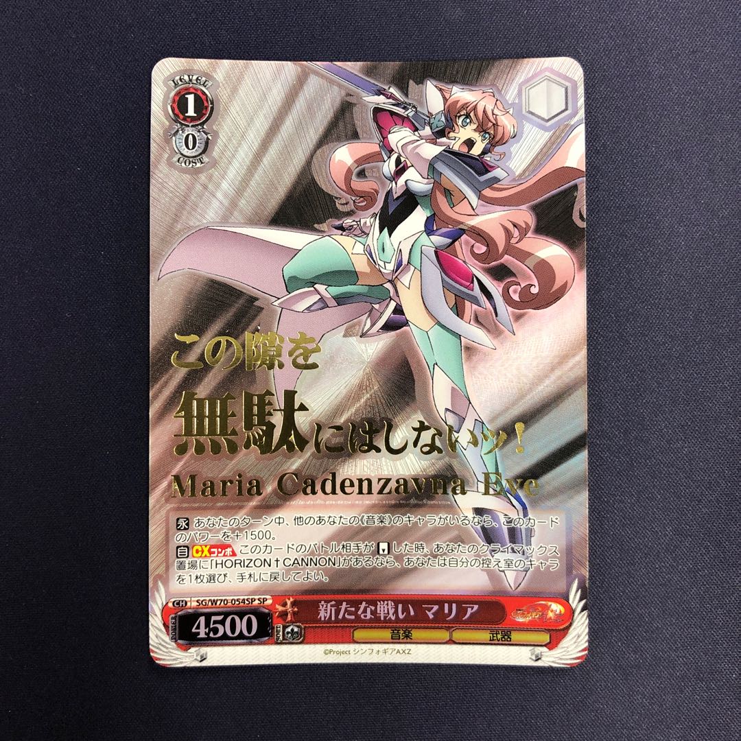 新たな戦い マリア