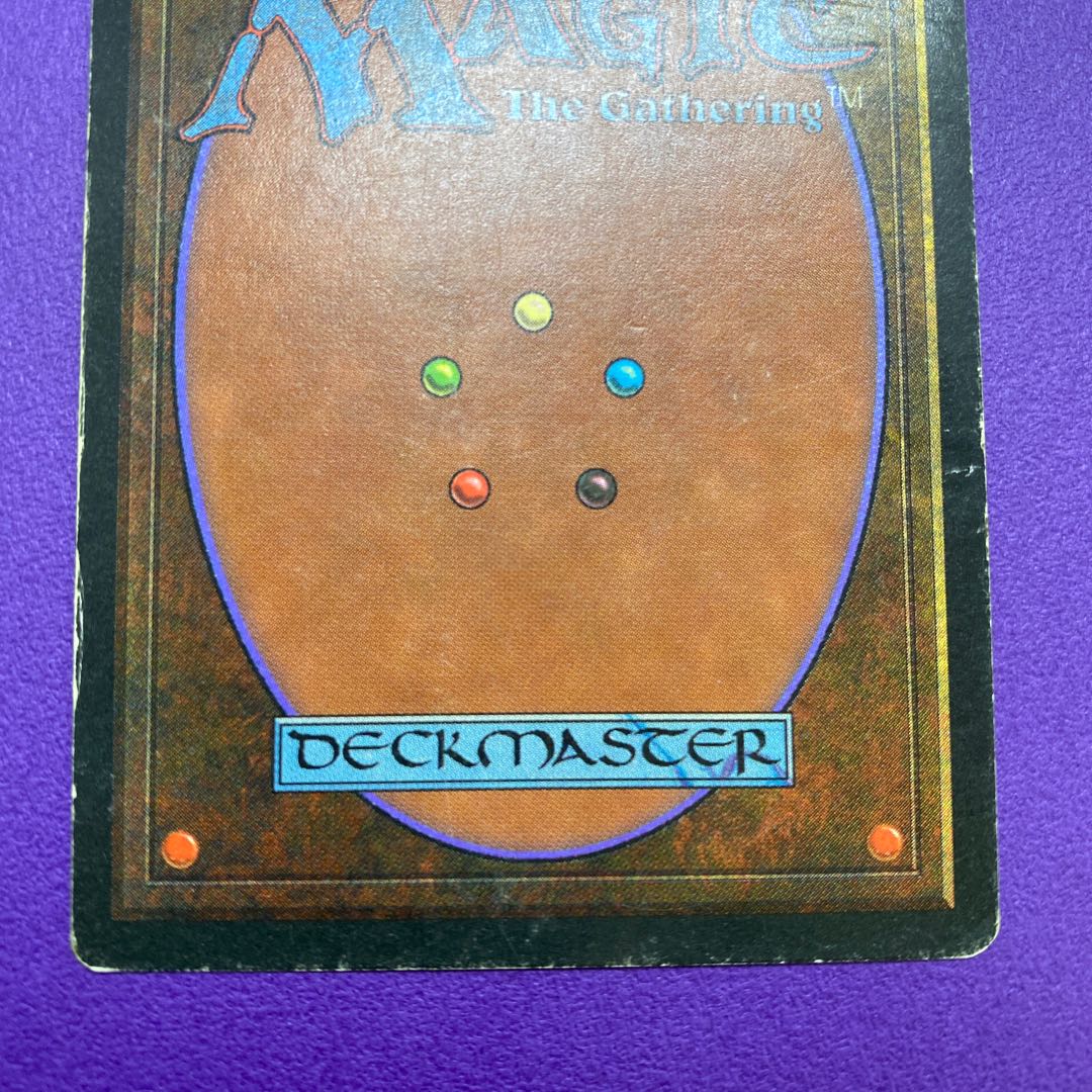 Tropical Island トロピカルアイランド 英語版 状態HP 1枚の通販 土日