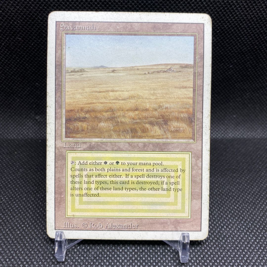 Savannah Savannah State HP