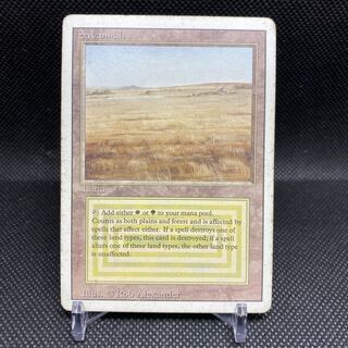 Savannah Savannah State HP