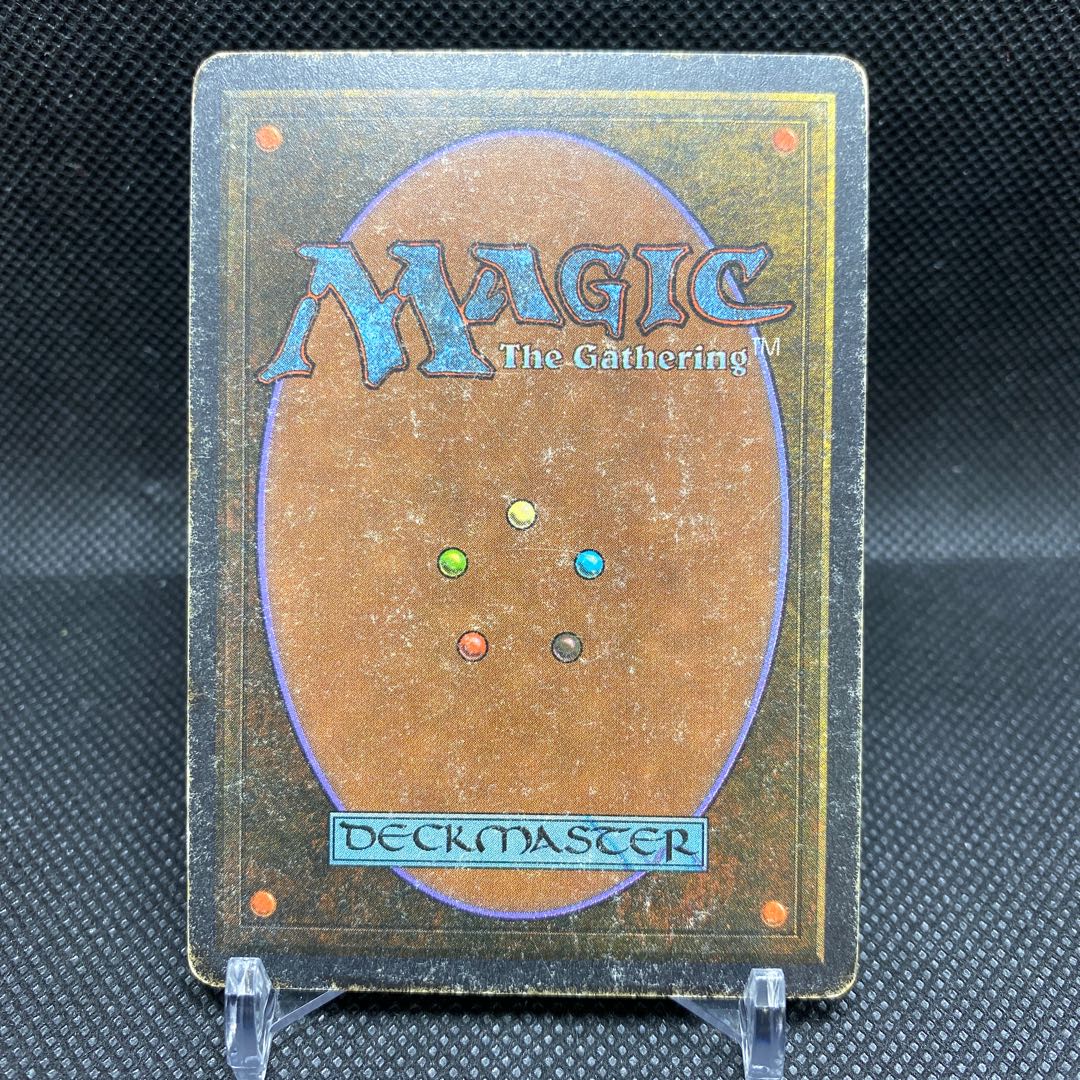 Savannah Savannah State HP