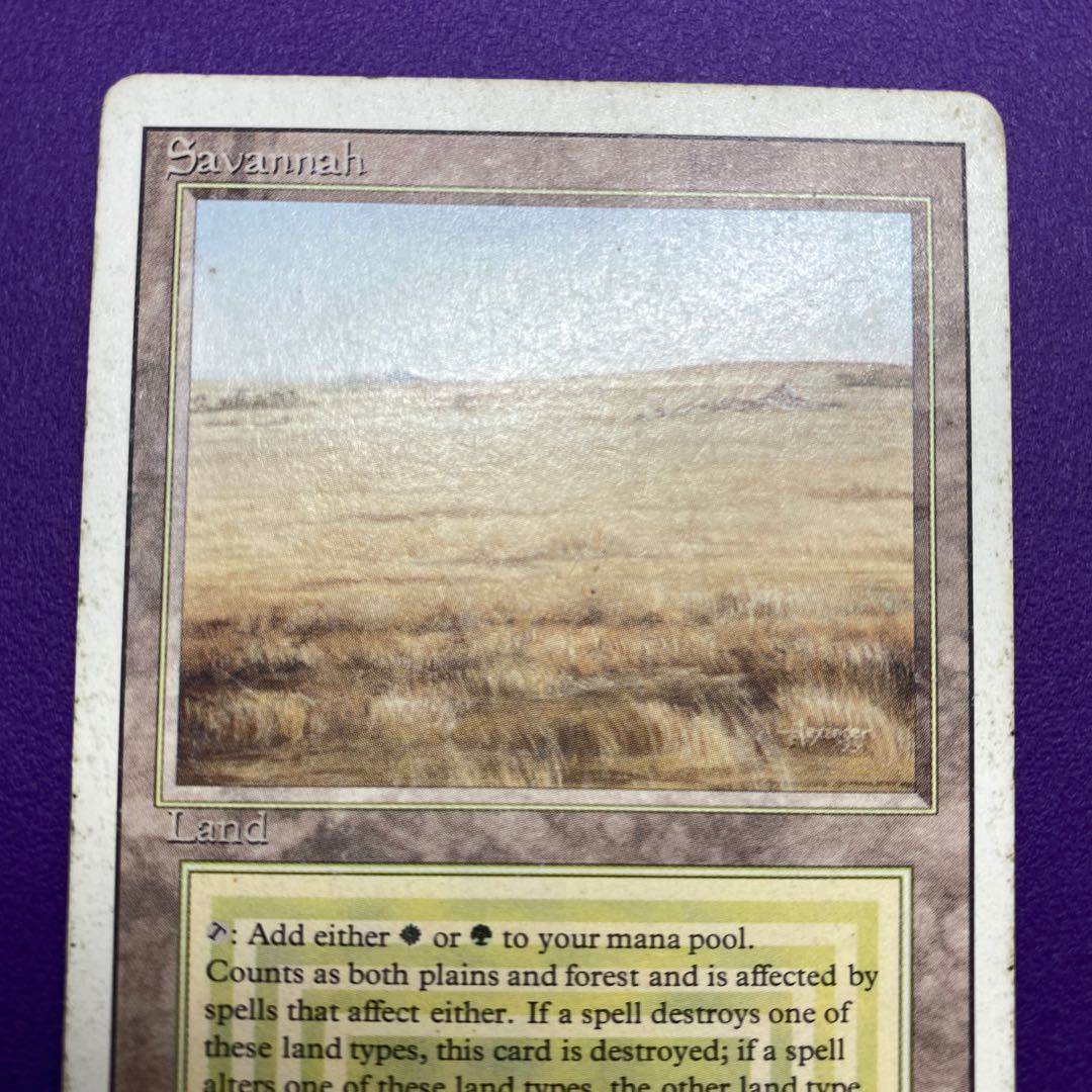 Savannah Savannah State HP