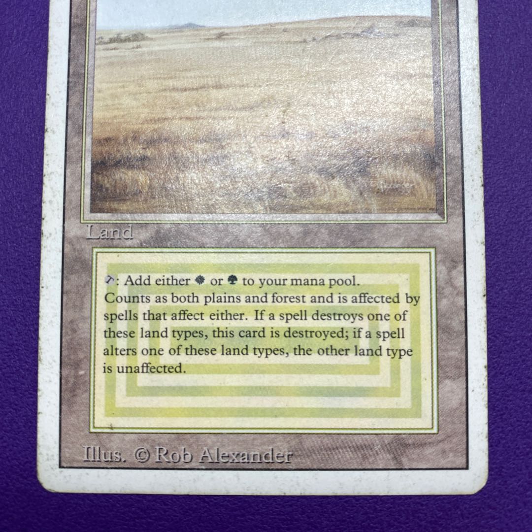 Savannah Savannah State HP