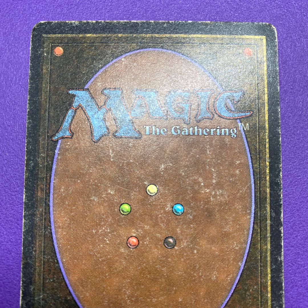 Savannah Savannah State HP