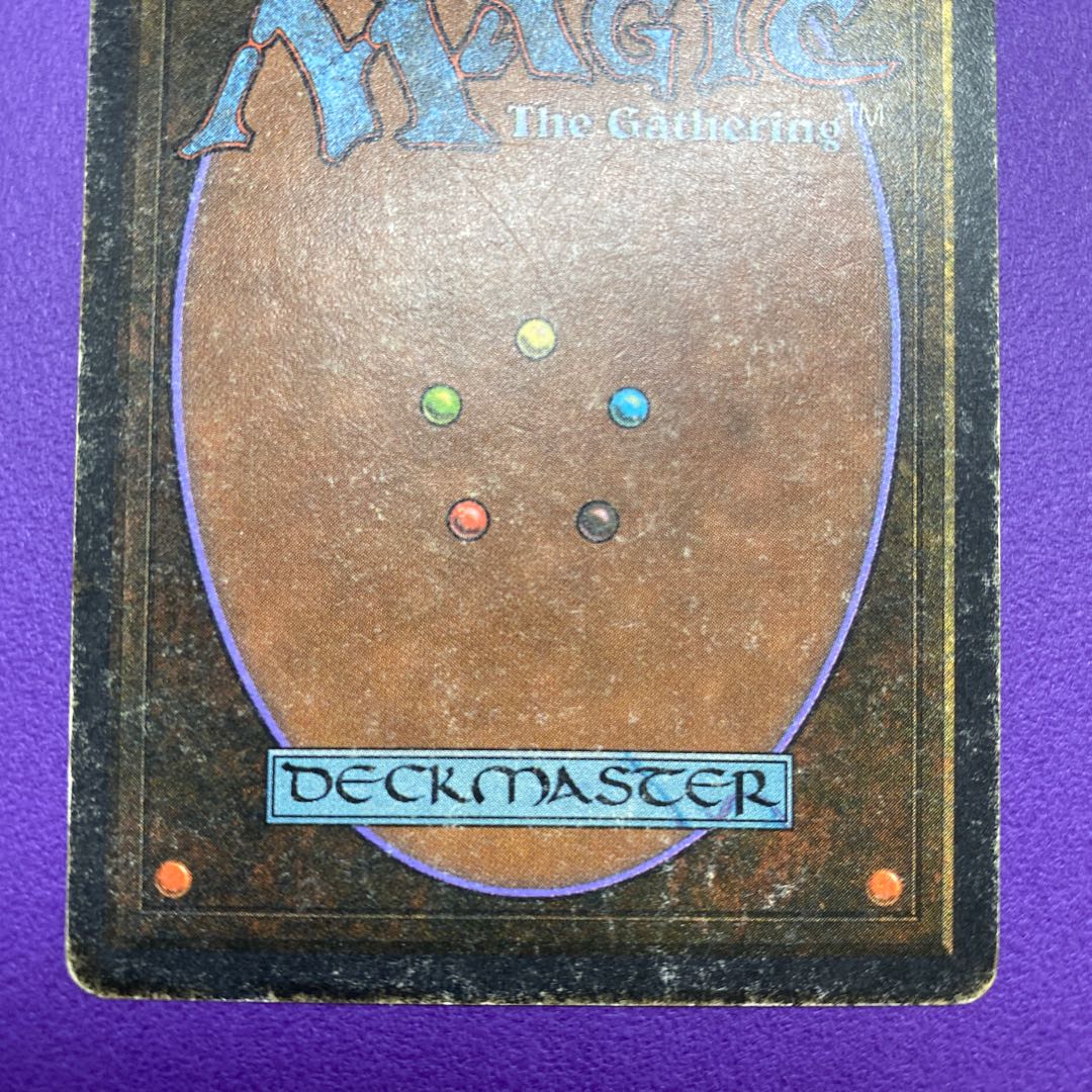 Savannah Savannah State HP