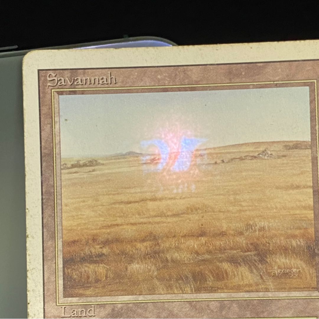 Savannah Savannah State HP