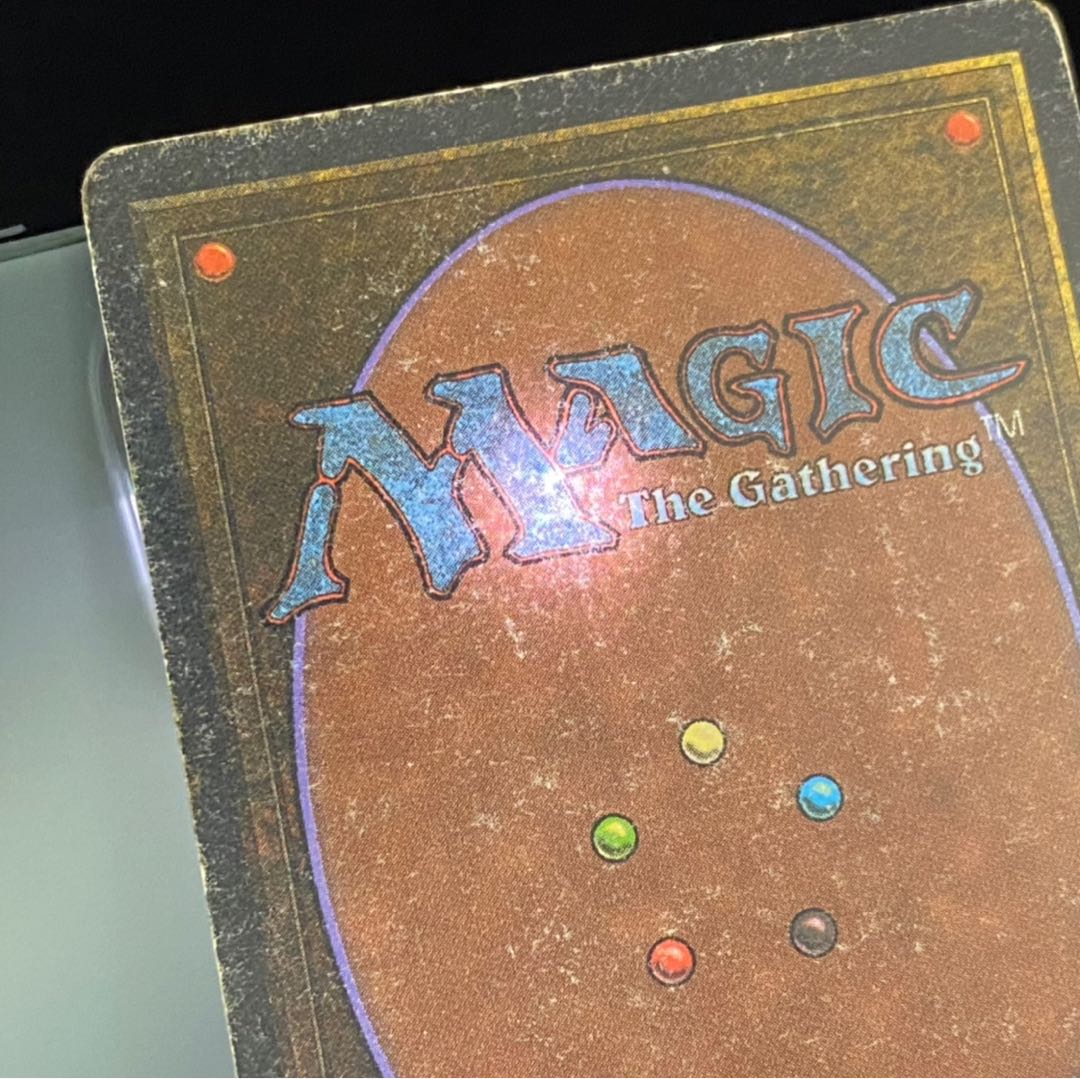 Savannah Savannah State HP