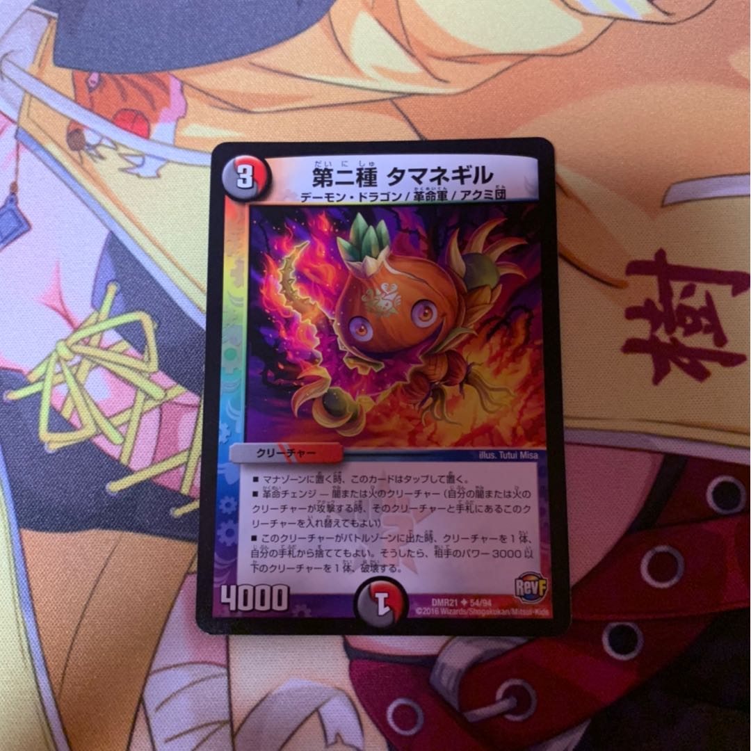 第二種 タマネギル 3枚