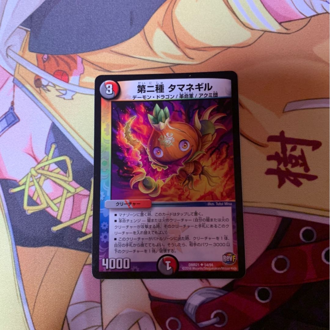 第二種 タマネギル 3枚