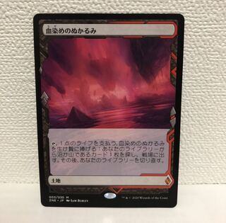 血染めのぬかるみ