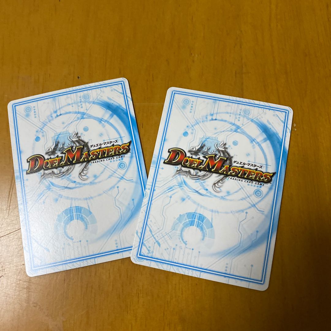 ゴッド・ガヨンダム SE二枚セット