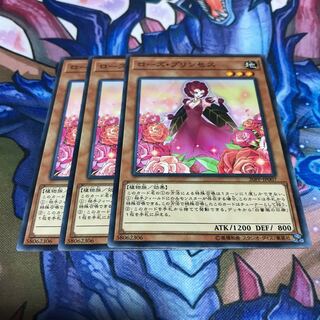 ローズ・プリンセス 3枚