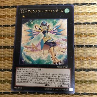 マドレース LL-アセンブリー・ナイチンゲール レア