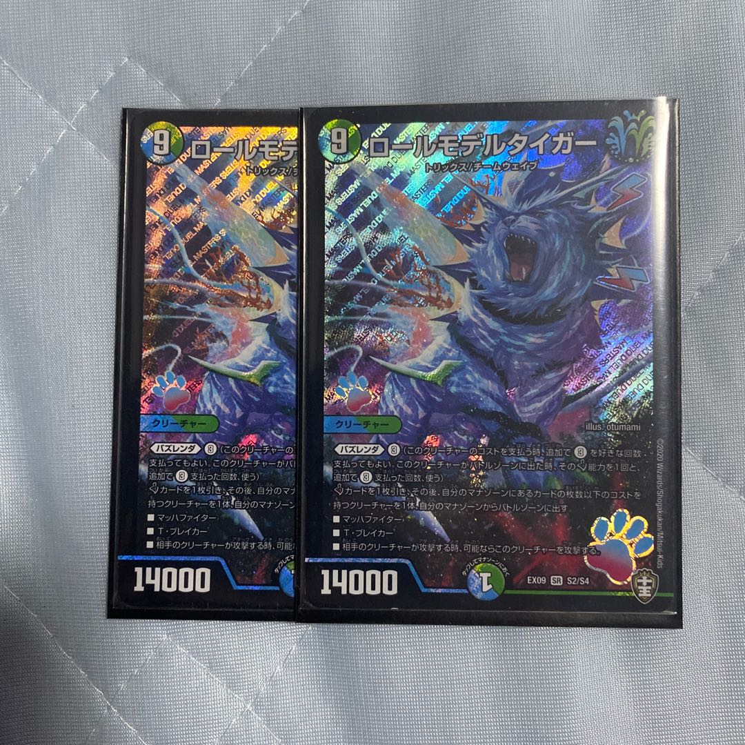 ロールモデルタイガー2枚