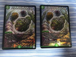 生命と大地と轟破の決断 2枚セット