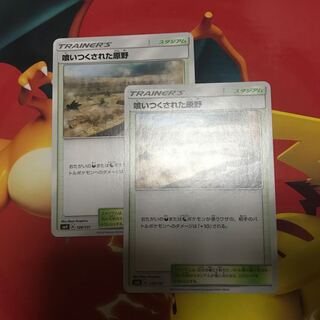 喰いつくされた原野 ×2 1枚