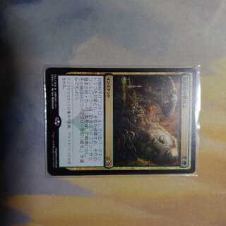 暗殺者の戦利品(日)