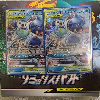 カメックス&ポッチャマ 1枚