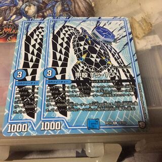 甲殻 TS-10 2枚セット