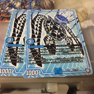 甲殻 TS-10 2枚セット