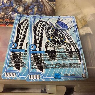 甲殻 TS-10 2枚セット