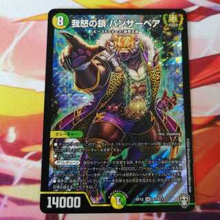 我怒の鎖　パンサーベア