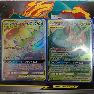 フシギバナ＆ツタージャ