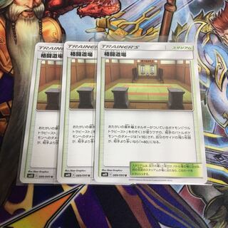 Martial Arts Dojo Set of 3 Pokekas Kakuto Dojo