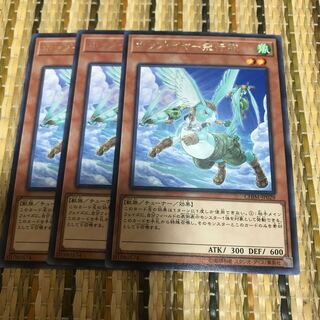 マドレース ホップ・イヤー飛行隊 レア