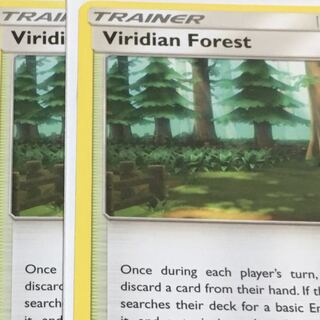 トキワの森 英語版 2枚