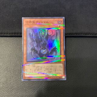 方界胤ヴィジャム パラレル スーパーレア