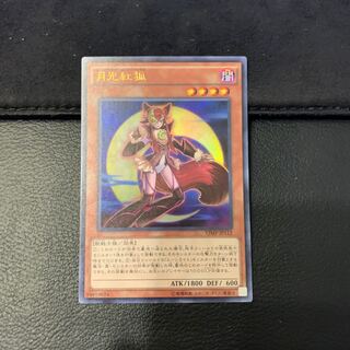 月光紅狐 ウルトラレア