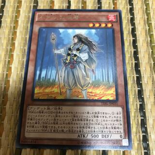 マドレース 不知火の隠者 レア