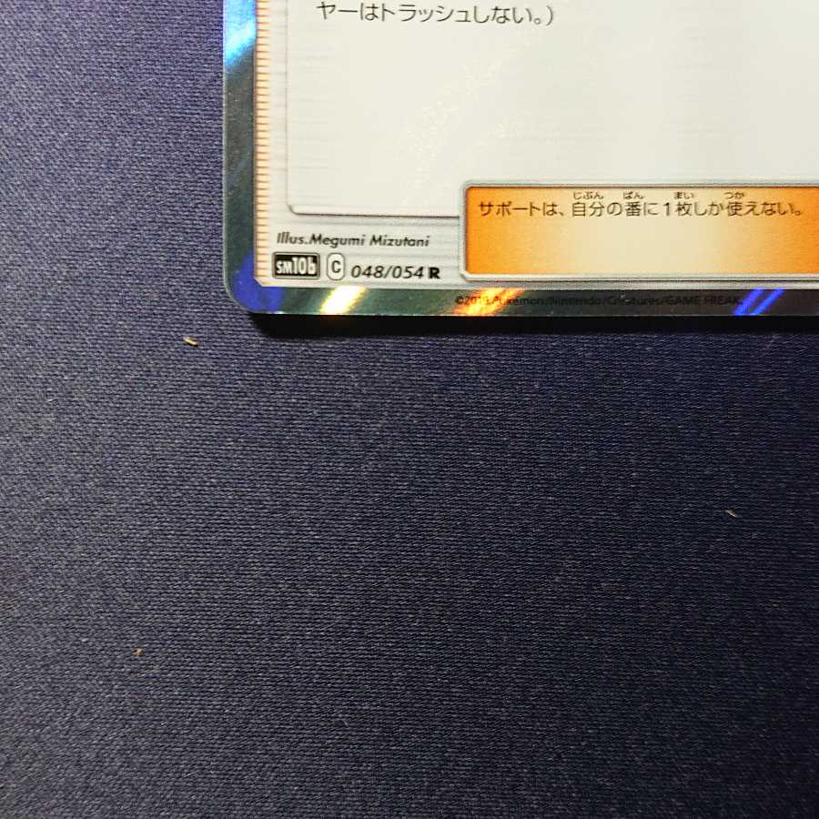 ムサシとコジロウ 四枚