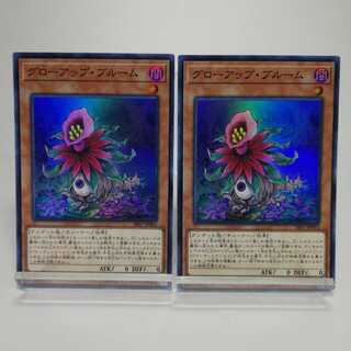 グローアップ・ブルーム スーパーレア