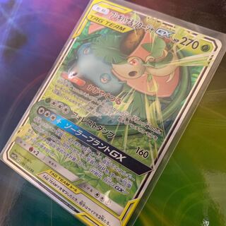 フシギバナ＆ツタージャGX RR