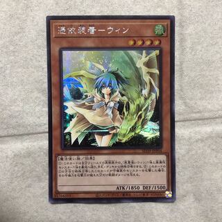 Possession Mounted - Wynn Secret