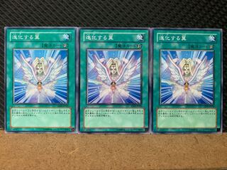 【ぽぽたん】遊戯王 6803 進化する翼 3枚 ノーマル